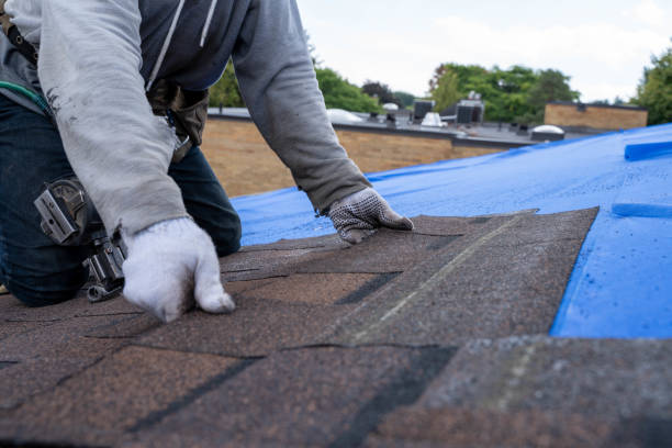 Best Shingle Roofing Installation  in Sigourney, IA