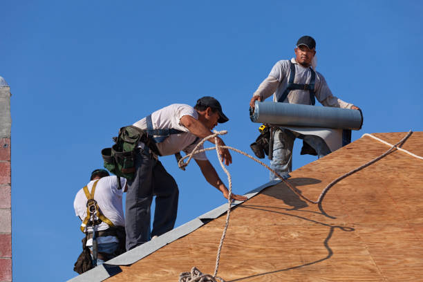 Best Roof Repair Services  in Sigourney, IA
